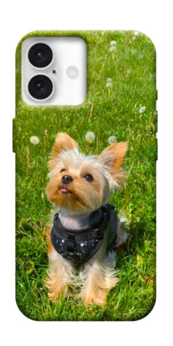 Чехол itsPrint Йорк в траве для Apple iPhone 16 (6.1")