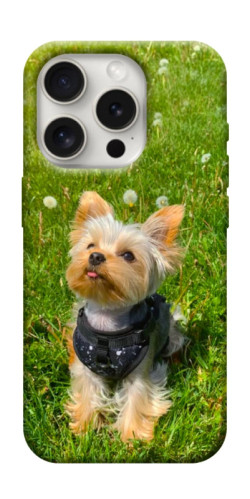 Чехол itsPrint Йорк в траве для Apple iPhone 16 Pro Max (6.9")