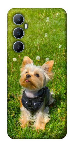 Чехол itsPrint Йорк в траве для Realme C65 4G