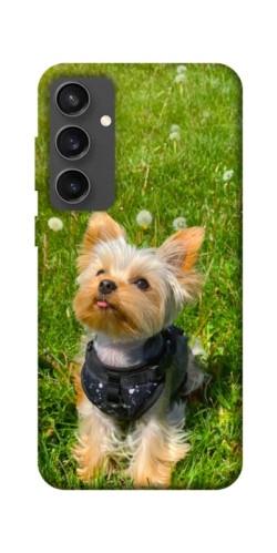 Чехол itsPrint Йорк в траве для Samsung Galaxy S24 FE