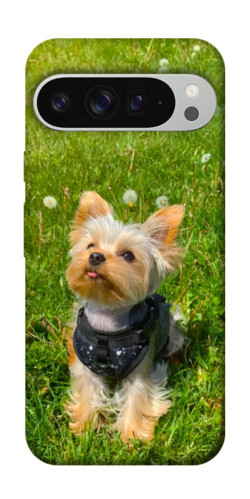 Чехол itsPrint Йорк в траве для Google Pixel 9 Pro XL