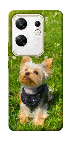 Чехол itsPrint Йорк в траве для Infinix Zero 30 4G