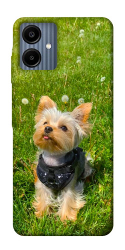 Чехол itsPrint Йорк в траве для Samsung Galaxy A06