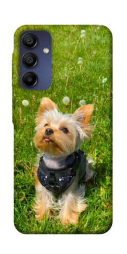 Чехол itsPrint Йорк в траве для Samsung Galaxy A16 5G