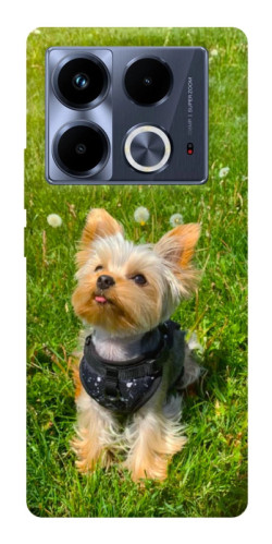 Чехол itsPrint Йорк в траве для Infinix Note 40 4G