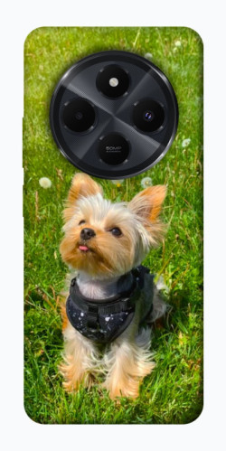 Чехол itsPrint Йорк в траве для Xiaomi Redmi 14C / Poco C75