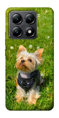 Чехол itsPrint Йорк в траве для Xiaomi 14T