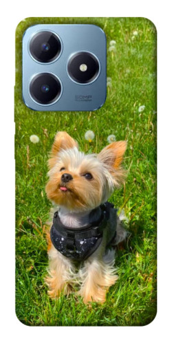 Чехол itsPrint Йорк в траве для Realme C63 4G