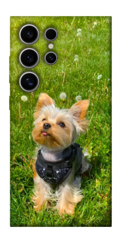 Чехол itsPrint Йорк в траве для Samsung Galaxy S25 Ultra