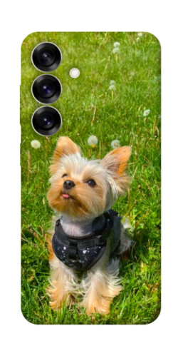 Чехол itsPrint Йорк в траве для Samsung Galaxy S25