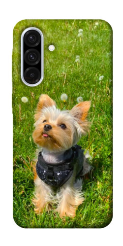 Чехол itsPrint Йорк в траве для Samsung Galaxy A36 5G