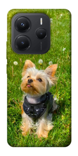 Чехол itsPrint Йорк в траве для Xiaomi Redmi Note 14 5G