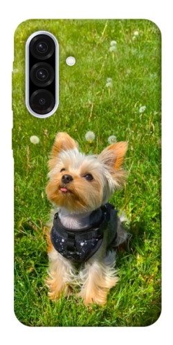 Чехол itsPrint Йорк в траве для Samsung Galaxy A56 5G