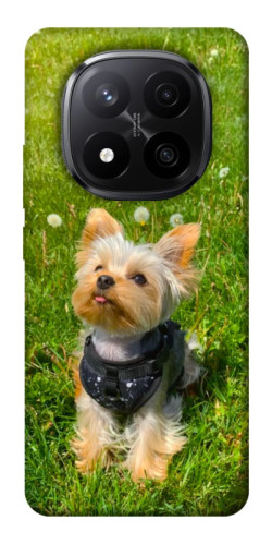 Чехол itsPrint Йорк в траве для Xiaomi Redmi Note 14 Pro+ 5G