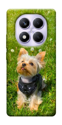 Чехол itsPrint Йорк в траве для Xiaomi Redmi Note 14 Pro 4G