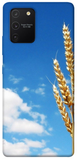 Чехол itsPrint Пшеница для Samsung Galaxy S10 Lite