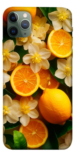Чехол itsPrint Лимоны и цветы для Apple iPhone 11 Pro Max (6.5")