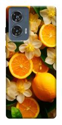Чехол itsPrint Лимоны и цветы для Motorola Edge 50 Fusion