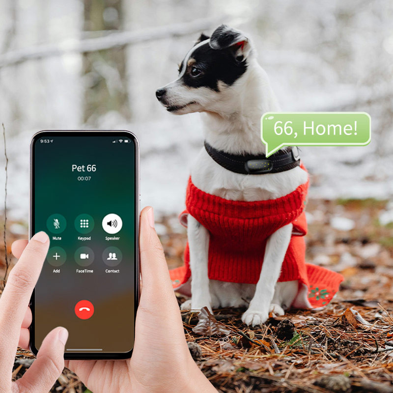 Трекер GPS для тварин V53 Pet Tracker SIM (4GLTE) 900mAh на малюнкі №4