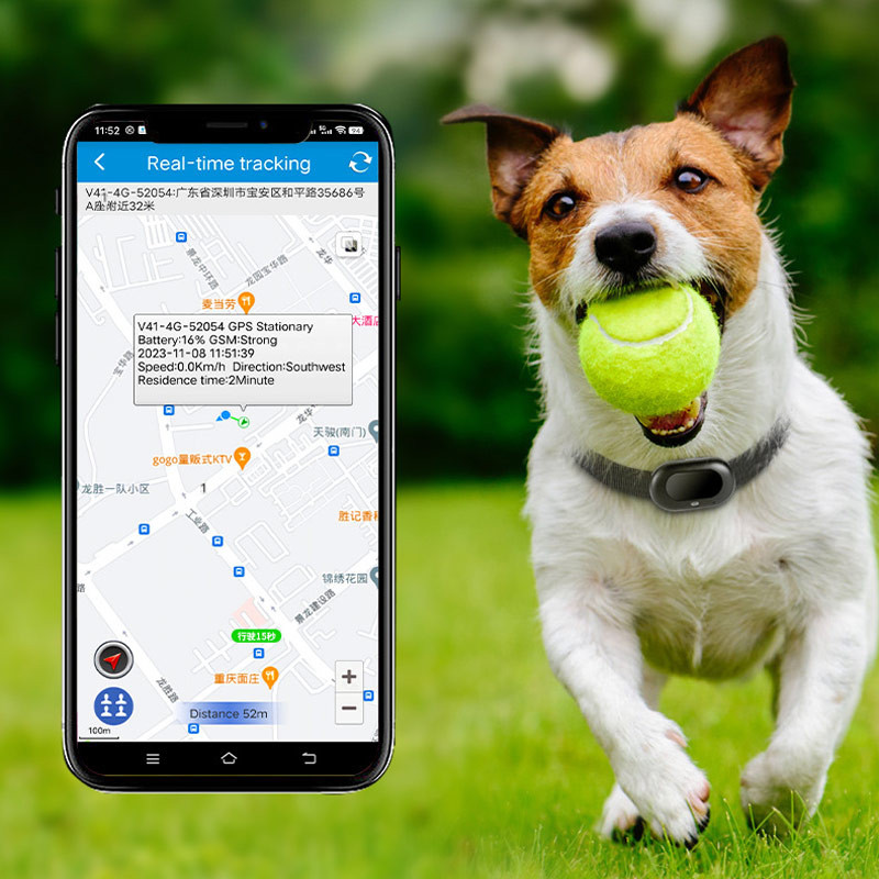 Трекер GPS для тварин V41 Pet Tracker SIM (4GLTE+3GWCDMA+2GGSM) 1300mAh на малюнкі №7