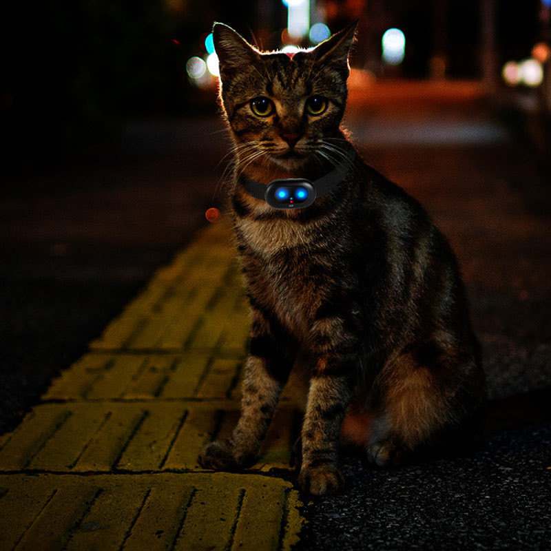 Трекер GPS для тварин V41 Pet Tracker SIM (4GLTE+3GWCDMA+2GGSM) 1300mAh на малюнкі №8