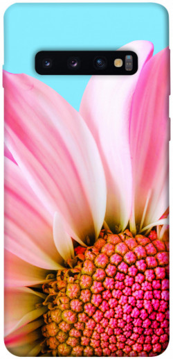 Чохол itsPrint Квіткові пелюстки для Samsung Galaxy S10
