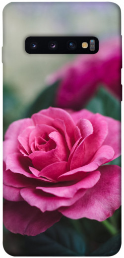 Чехол itsPrint Роза в саду для Samsung Galaxy S10