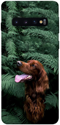 Чехол itsPrint Собака в зелени для Samsung Galaxy S10