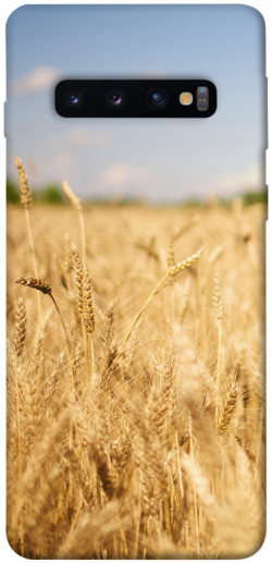 Чохол itsPrint Поле пшениці для Samsung Galaxy S10