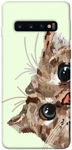 Чохол itsPrint Cat muzzle для Samsung Galaxy S10