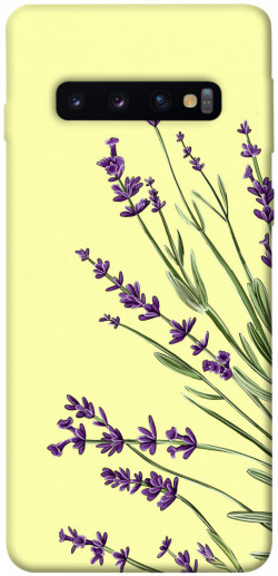 Чехол itsPrint Lavender art для Samsung Galaxy S10