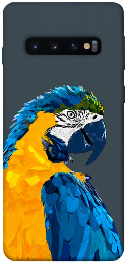 Чехол itsPrint Попугай для Samsung Galaxy S10