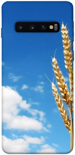 Чехол itsPrint Пшеница для Samsung Galaxy S10
