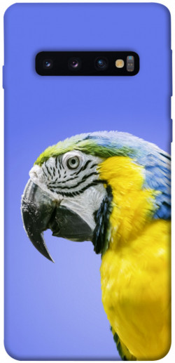 Чехол itsPrint Попугай ара для Samsung Galaxy S10