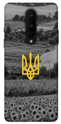 Чехол itsPrint Душа України для OnePlus 8