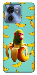 Чехол itsPrint Chimpanzini Bananini для Motorola Edge 40