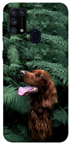 Чехол itsPrint Собака в зелени для Samsung Galaxy M31