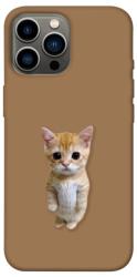Чехол itsPrint Kitty standing для Apple iPhone 13 Pro Max (6.7")