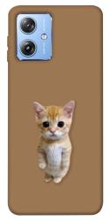 Чохол itsPrint Kitty standing для Motorola Moto G84