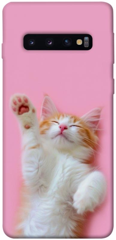 Чехол itsPrint Сat chill для Samsung Galaxy S10, котики, купить оптом с доставкой