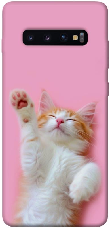Чехол itsPrint Сat chill для Samsung Galaxy S10+, котики, купить оптом с доставкой