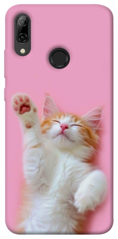 Чохол itsPrint Сat chill для Huawei P Smart (2019), котики, купити оптом з доставкою