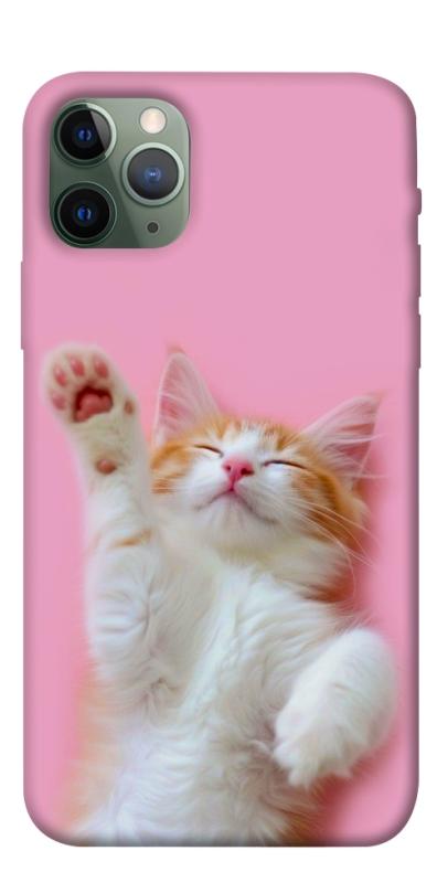 Чохол itsPrint Сat chill для Apple iPhone 11 Pro (5.8"), котики, купити оптом з доставкою