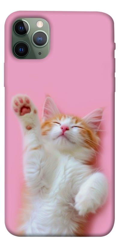 Чехол itsPrint Сat chill для Apple iPhone 11 Pro Max (6.5"), котики, купить оптом с доставкой