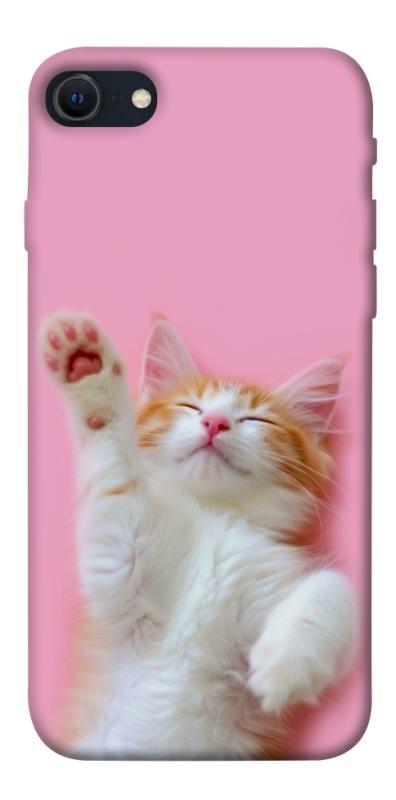 Чехол itsPrint Сat chill для Apple iPhone SE (2020), животные, купить оптом с доставкой