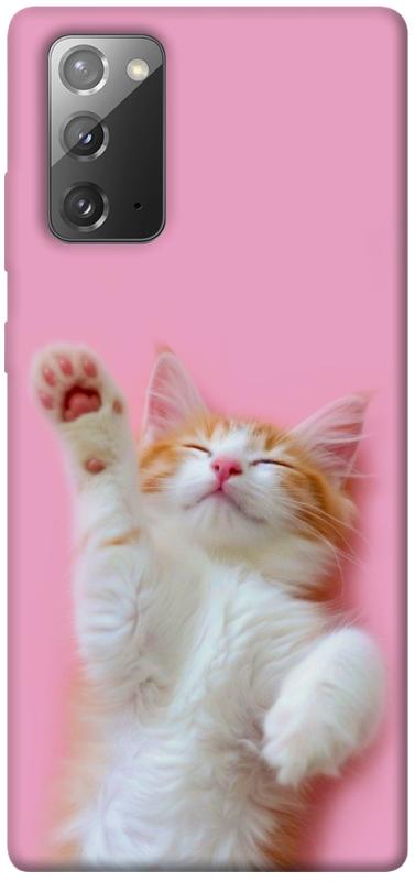 Чохол itsPrint Сat chill для Samsung Galaxy Note 20, котики, купити оптом з доставкою