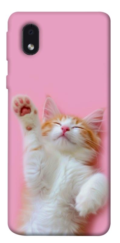 Чохол itsPrint Сat chill для Samsung Galaxy M01 Core / A01 Core, котики, купити оптом з доставкою