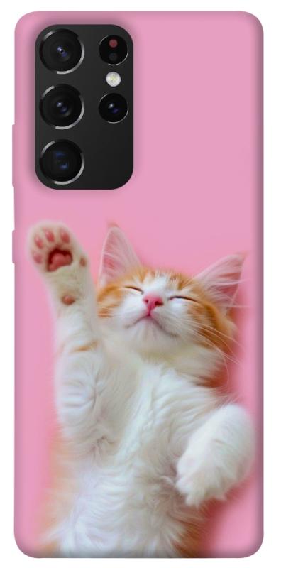 Чохол itsPrint Сat chill для Samsung Galaxy S21 Ultra, котики, купити оптом з доставкою