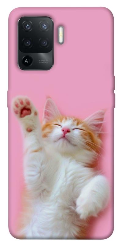 Чохол itsPrint Сat chill для Oppo Reno 5 Lite, котики, купити оптом з доставкою