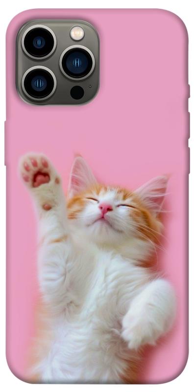 Чехол itsPrint Сat chill для Apple iPhone 13 Pro Max (6.7"), котики, купить оптом с доставкой